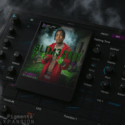 SLIM3 KOD3 - Pigments 6 Bank