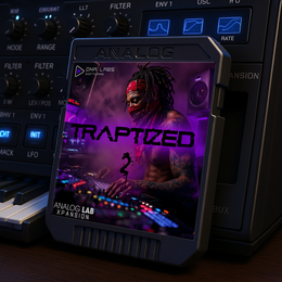 Traptized 2 - Analog Lab Bank