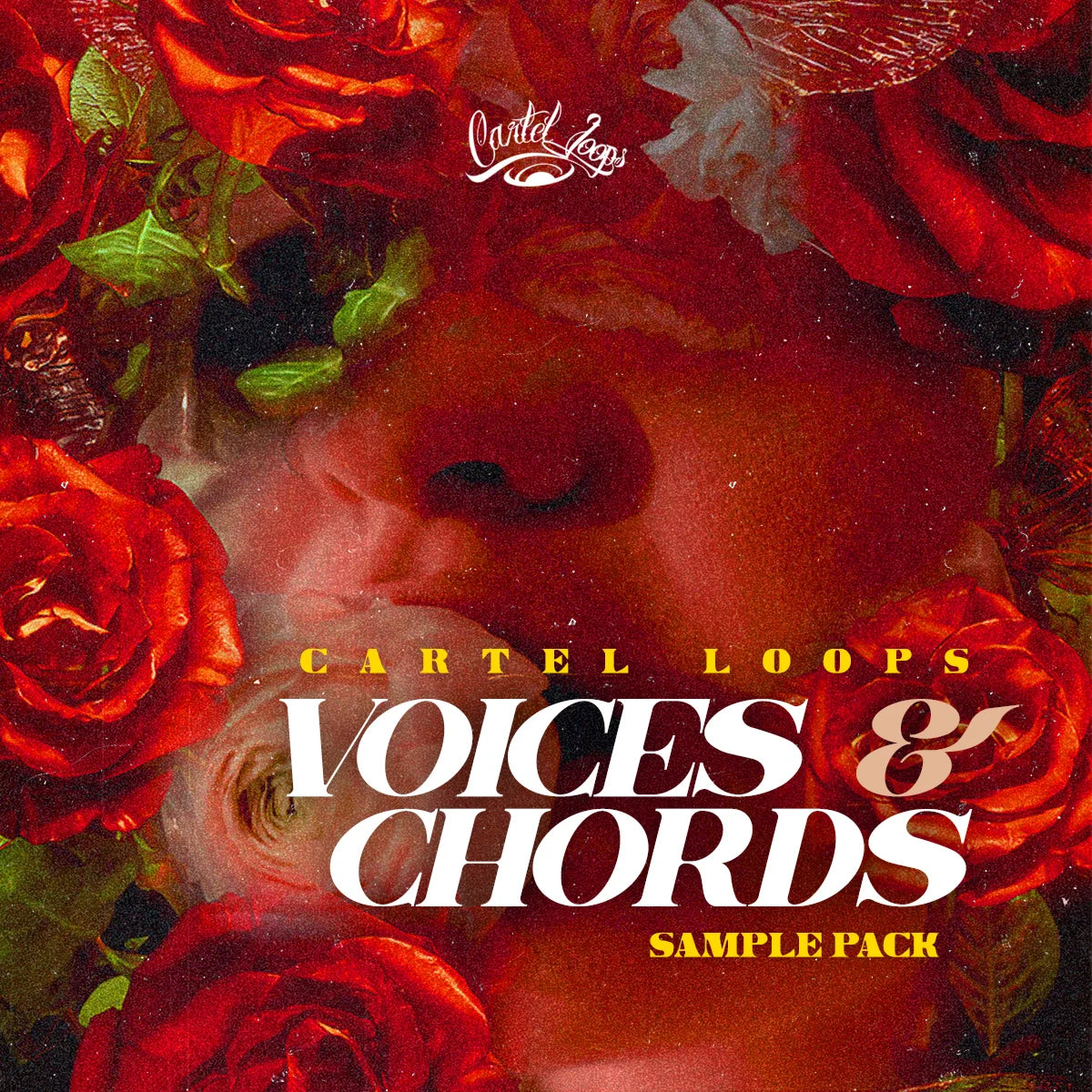 Voices & Chords
