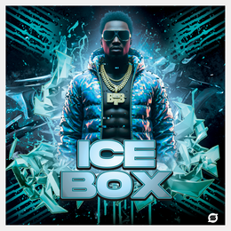 Album cover with a person wearing sunglasses and a jacket, surrounded by ice-themed graphics and the text 'ICE BOX'.