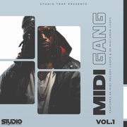 MIDI Gang Vol.1