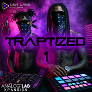 Traptized - Analog Lab Bank